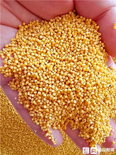 中秋團圓，福山農產品與通訊設備相伴更溫馨