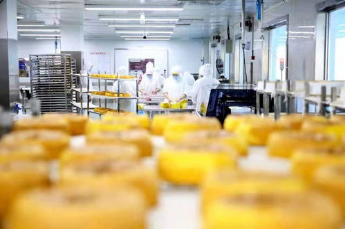 餐桌上的食品安全無(wú)小事 走進(jìn)沈陽(yáng)綠色工廠，探訪初級(jí)農(nóng)產(chǎn)品的神秘生產(chǎn)線