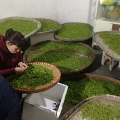 龍井茶 源自杭州富陽(yáng)的初級(jí)農(nóng)產(chǎn)品