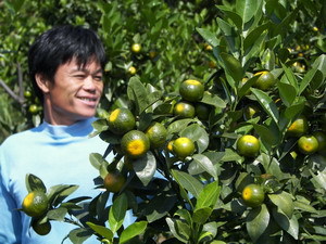 連麥鎮(zhèn) 初級(jí)農(nóng)產(chǎn)品的綠色寶藏