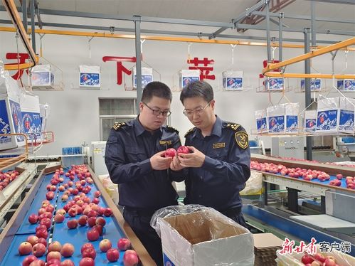 向新求質(zhì) 甘肅特色農(nóng)產(chǎn)品破圈出海之路