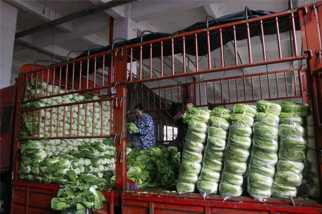 備戰(zhàn)春節(jié) 銀田農(nóng)產(chǎn)品物流園貨物充足，保障初級(jí)農(nóng)產(chǎn)品供應(yīng)