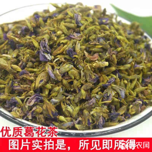 葛花的功效與泡水入藥方法