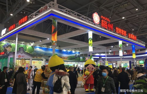 梅州名優(yōu)特農(nóng)產(chǎn)品組團(tuán)亮相山城重慶，展現(xiàn)初級農(nóng)產(chǎn)品原生態(tài)魅力