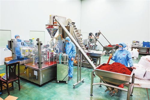 隴右名城熱潮涌動(dòng) 從田間到舌尖，天水麻辣燙火爆出圈的“初級(jí)農(nóng)產(chǎn)品”密碼